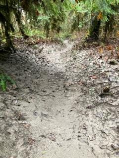 MuddyTrail.JPG